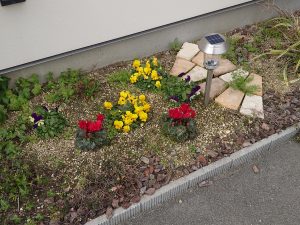 泉州保険岸和田支店花壇2